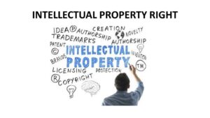 INTELLECTUAL PROPERTY RIGHTS