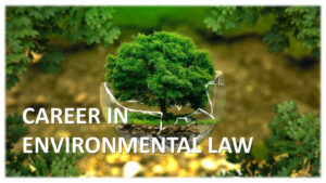 ENVIRONMENTAL LAW IN INDIA